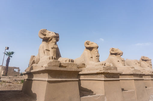 Picture of sphinxes of dromos of Karnak temple complex of Amun-Ra at Luxor, Egypt.