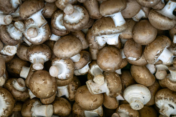 istock Brown champignons in a box at the market. 1939740140
