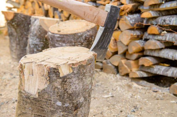 istock Firewood ax and wood splitting table 1939766136