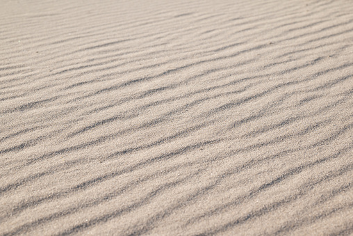 Close up of sand under bright sunlight, wind made waves on it