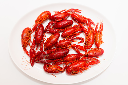 A pile of tasty boiled crawfish on a oval white plate on a white background. Top view,closeup, copy space.