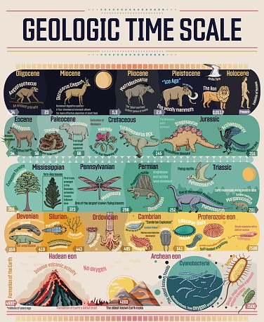 Geologic time scale colorful educational poster.  From the formation of Earth to the 'Cambrian Explosion', the rise of dinosaurs, the evolution of early mammals, and human evolution.