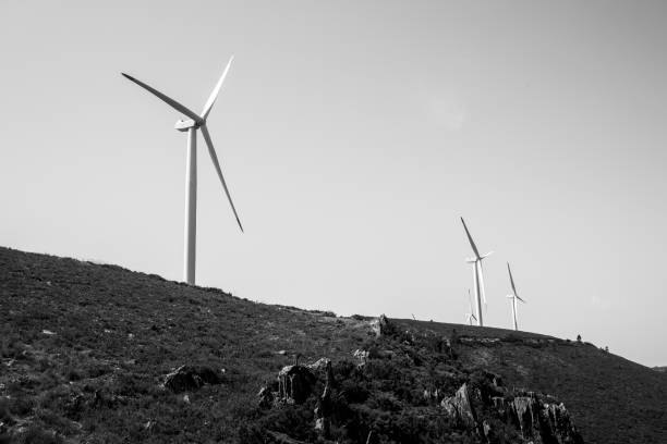 Black-and-white image showing a row of modern wind turbines stretching across the horizon