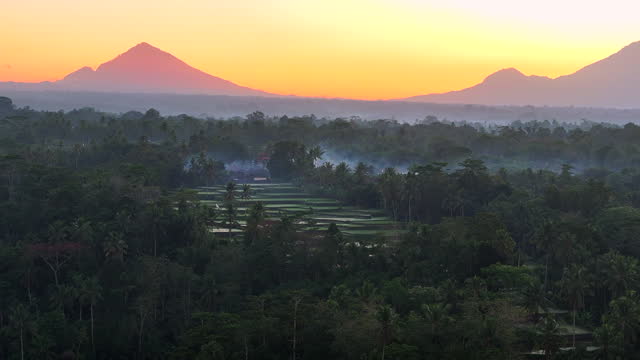 Aerial Drone Sunrise Scene of mountain rice terraces with Mount Agung Volcano in background in the middle of the Balinese jungle, Bali, Indonesia.