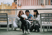 Asian Chinese friends playing with dog at outdoor patio