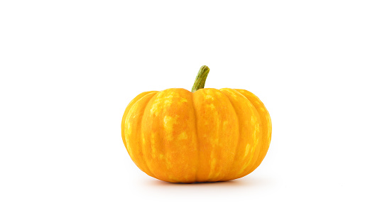 Autumn pumpkin, isolated on white