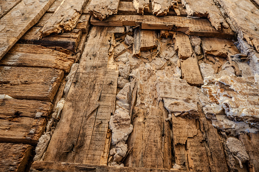 Old wooden wall damaged by termites. Close-up view. Rotten wall. Real photo. Low angle view