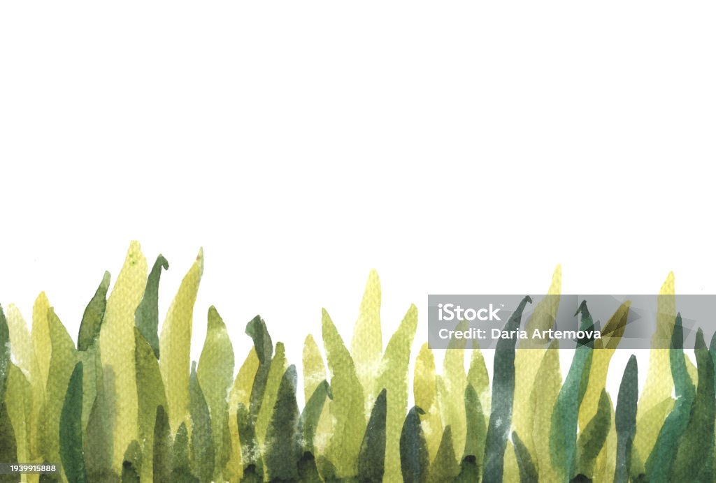 Spring Grass Rgb Watercolor Grass Green Spring Grass Pattern Background Isolated On ...