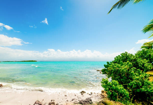 istock Colorful shore in Le Gosier in Guadeloupe 1939915894