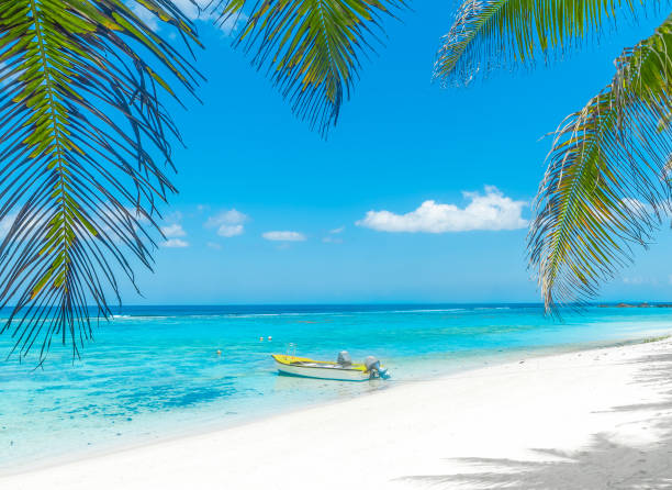 istock Boat and palm trees in Mahe island 1939922416