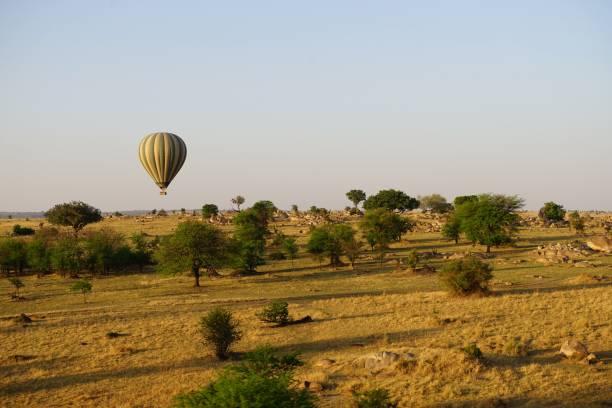 istock african wilderness, hot air balloon, landscape 1939936264