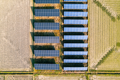 Aerial view, focusing on solar panels used for clean energy generation in agricultural farms among harvested geometry shape rice paddy fields, environmental conservation, clean energy