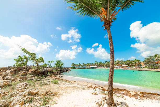 istock Bas du Fort beach in Guadeloupe 1939966163