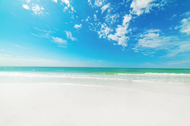 istock Turquoise water and white sand in beautiful Venice beach 1939967232