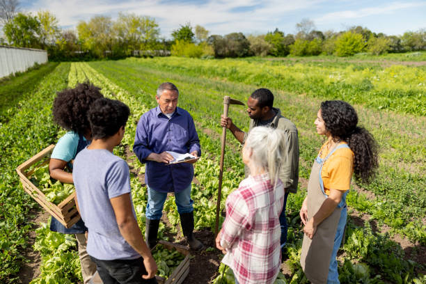 istock Group of farm workers talking in a meeting while working at a plantation 1939972262
