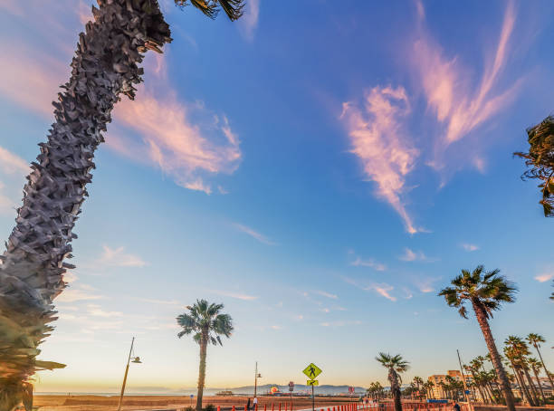 istock Santa Monica seafront at sunset 1939975547