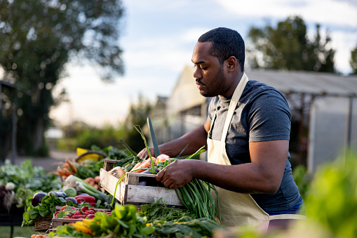 African American man selling his homegrown produce at a Farmer's Market - sustainable lifestyle
