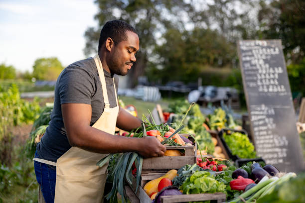 istock Man selling organic vegetables from his plot at a community garden 1940004868