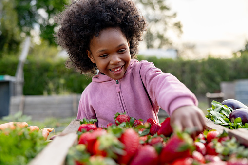 Happy African American girl trying some strawberries at a community garden