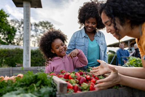 Happy African American girl shopping at the Farmer's Market with her mother and wanting to try the strawberries