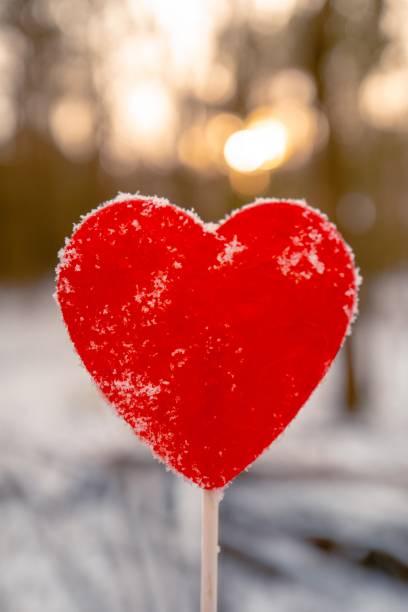 istock Lollipop heart on a stick in winter forest, Valentine's Day 1940031225