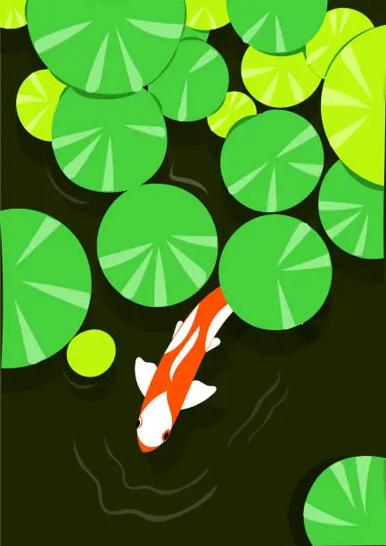 Vector illustration of The red carp