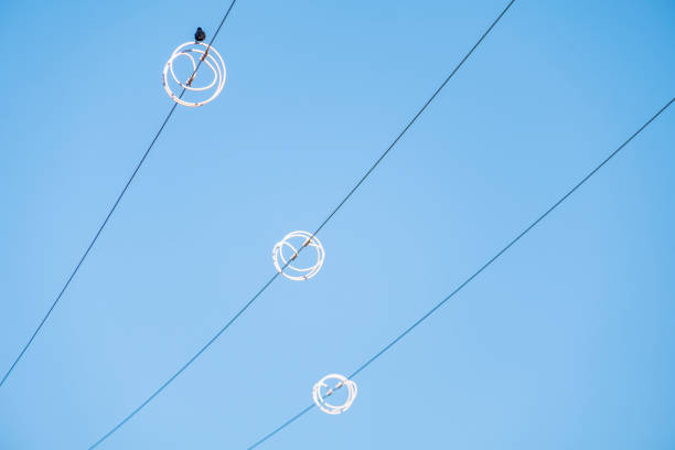 Crow birds on wire of high voltage electric tower isolated on white. Electricity, electric power, overhead power line and technology concepts.