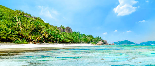 istock Coral reef by the shore in Anse Source d'Argent beach 1940039775