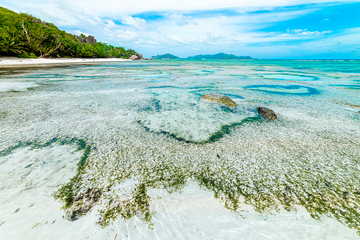 Coral reef by the shore in Anse Source d'Argent beach. La Digue island, Seychelles