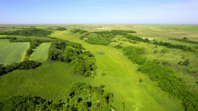 Aerial view of green fields and woods in plain countryside in sunny day