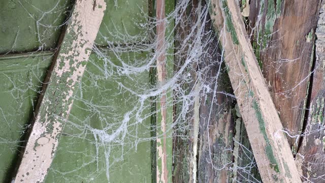Frozen cobwebs from the wooden ceiling of a barn, shed or rural toilet