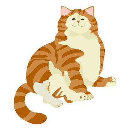 Cute cat illustration isolated on a white background PNG. Bright color cartoon cat vector illustration.