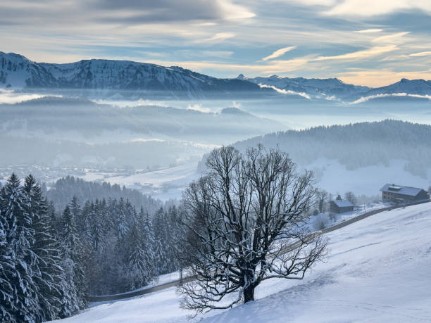 tranquil snowy winter landscape in the Bregenz forest Mountains, Vorarlberg, Austria