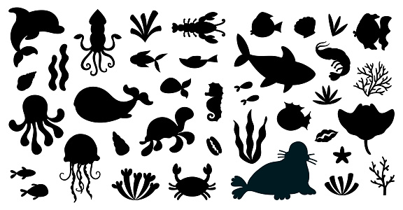 Set of black silhouette isolated marine animals in cartoon style. Sea life, ocean design elements for printing, poster, card. Vector illustration