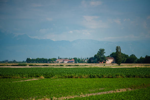 farmland and green fields. Italy.