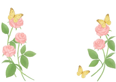 Illustration of rose and butterfly