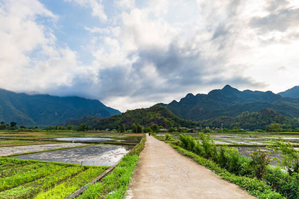 Mai Chau village landscape with rice paddy fields in North Vietnam. Mai Cau is a countryside are popular for tourists