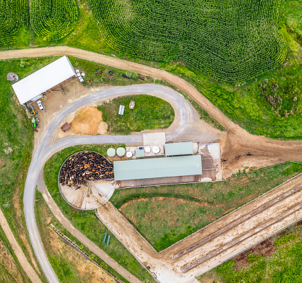 An aerial view of cows being milked at a modern cowshed surrounded by grass and maize fields in New Zealand's Waikato region.