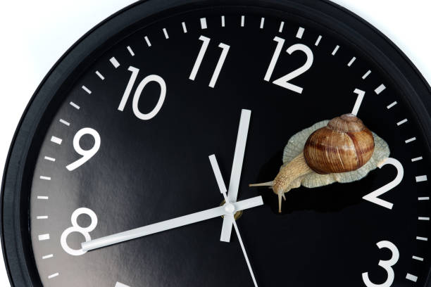 the snail is crawling on the clock face on a white - macro hour hand minute hand accuracy imagens e fotografias de stock