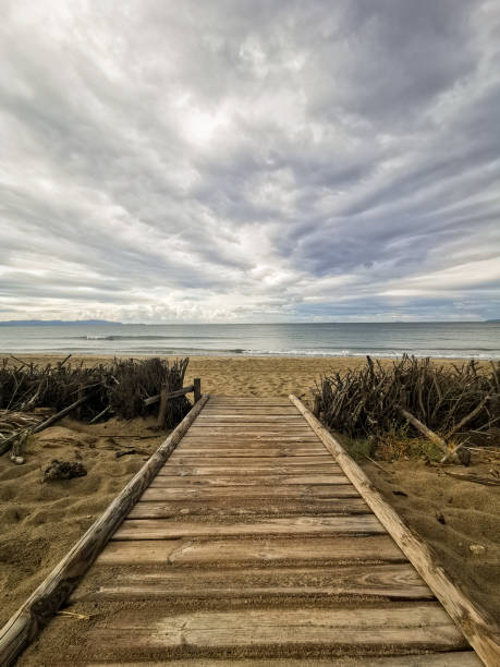 istock Walking to the sea 1940332899