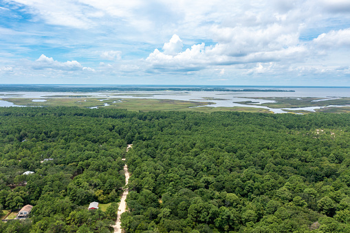 Aerial View of a Maritime Forest and Currituck Sound in Carova North Carolina Outer Banks