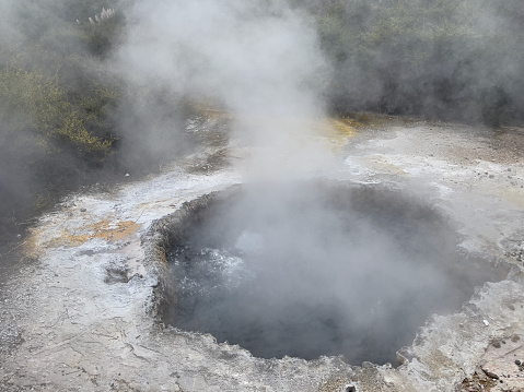 steaming hot mineral pool set in a sinter basin, set amongst New Zealand native bush