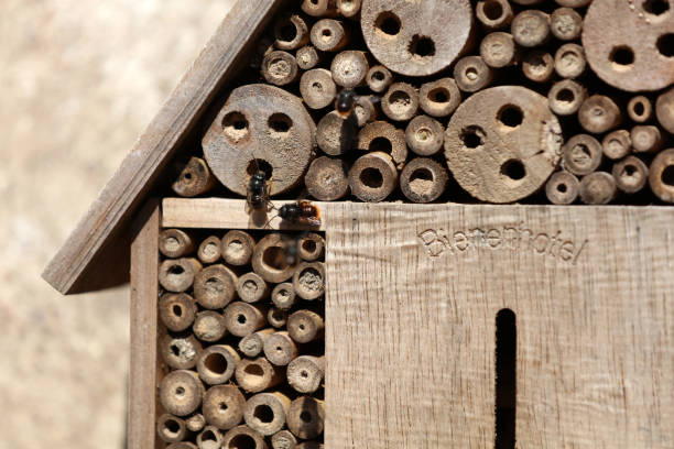 Insect hotel Bee hotel with small tubes