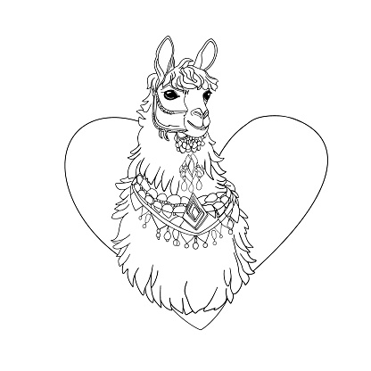 Isolated illustration of a llama in the shape of a heart. For a children's coloring page, a blank for designers is vector. Label, logo, icon, print