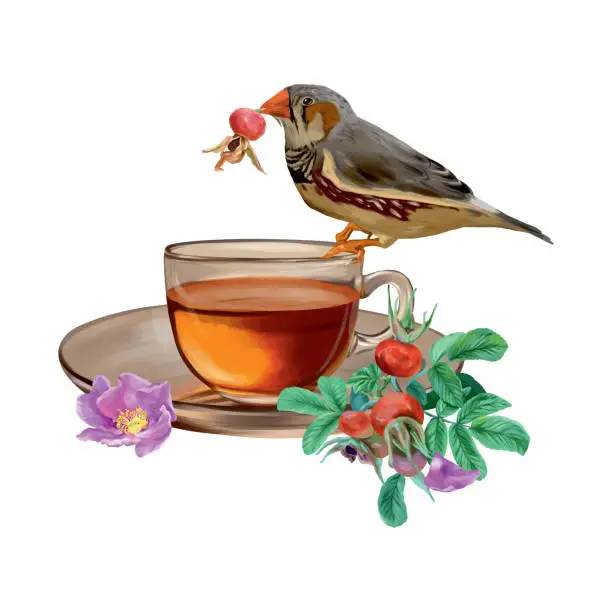 Vector illustration of Cup of tea, rose hips, berries, flower, bird. Vector illustration in graphic style. Cards, invitations, spring banners, packaging, covers, labels.