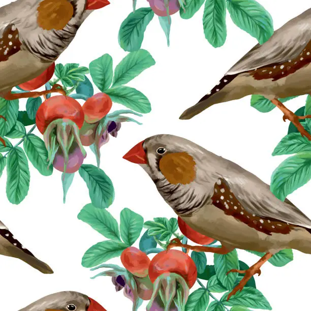 Vector illustration of Rose hips, leaves and berries, birds, seamless pattern. Graphic illustration. Cards, invitations, banners, packaging, covers, textiles, wallpaper.