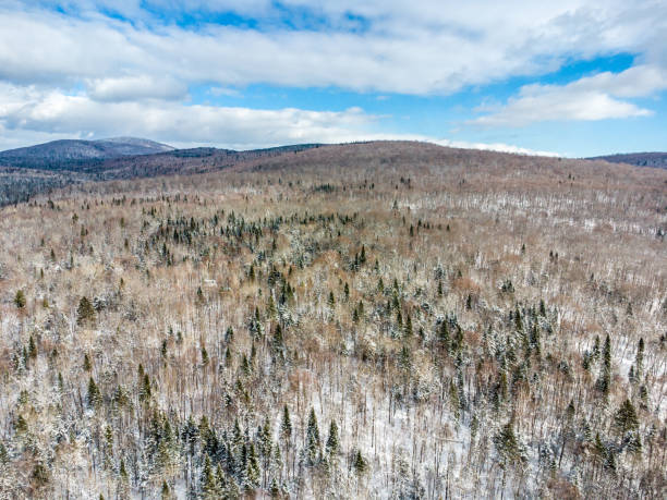 istock Aerial view of forest and mountain 1940395464