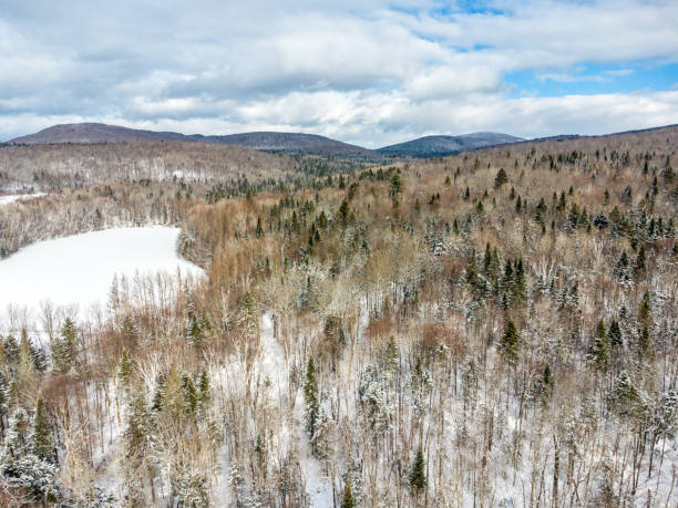 istock Aerial view of forest and mountain 1940397030
