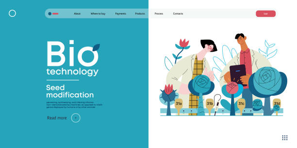 Bio Technology flat vector illustration Bio Technology, Seed Modification -modern flat vector concept illustration of scientists analysing genetic modificated variants of a plant. Metaphor of direct impact of GMO on vegetation genetic modification change improvement science stock illustrations