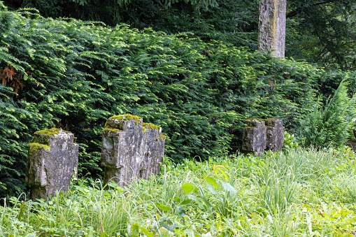 Gravestones made of natural stone, old, abandoned on the edge of the forest and overgrown with moss
